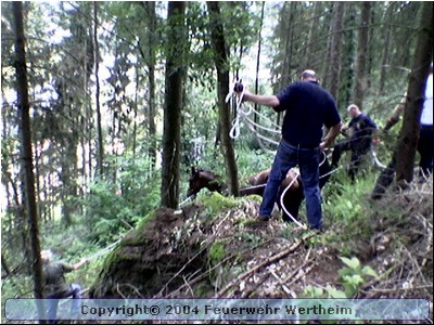 Bild004.jpg