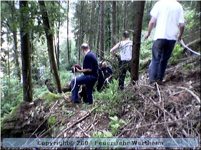 Bild005.jpg