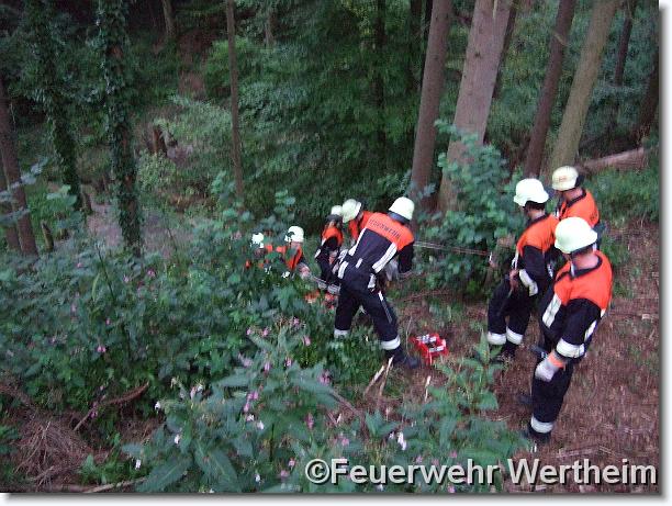 Letztes Bild erreicht